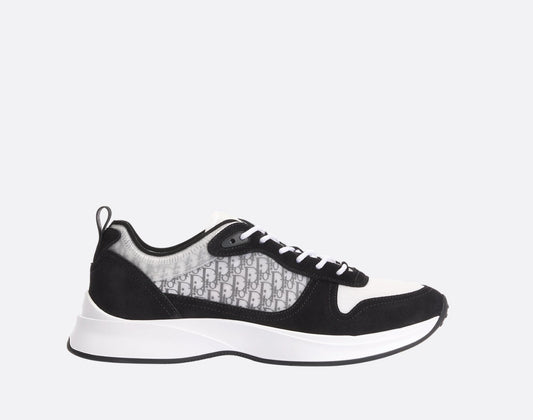 DIOR B25